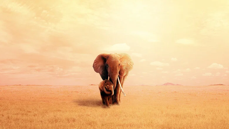 The Elephant Queen screenshot 4