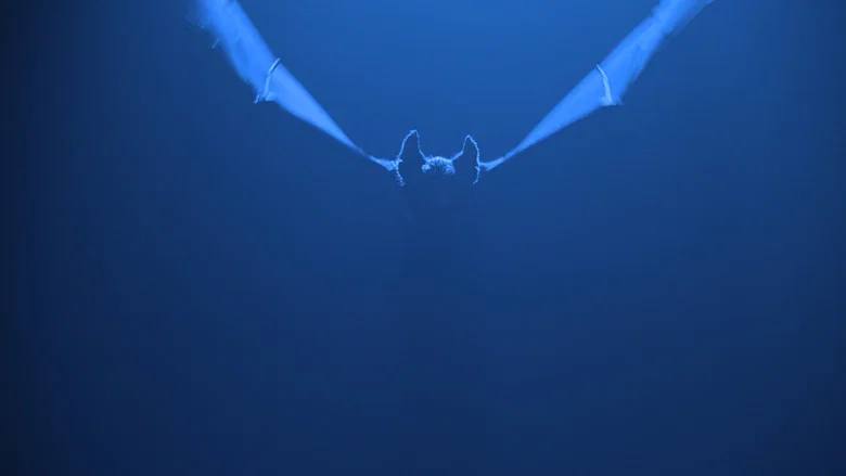 Batman Forever screenshot 7