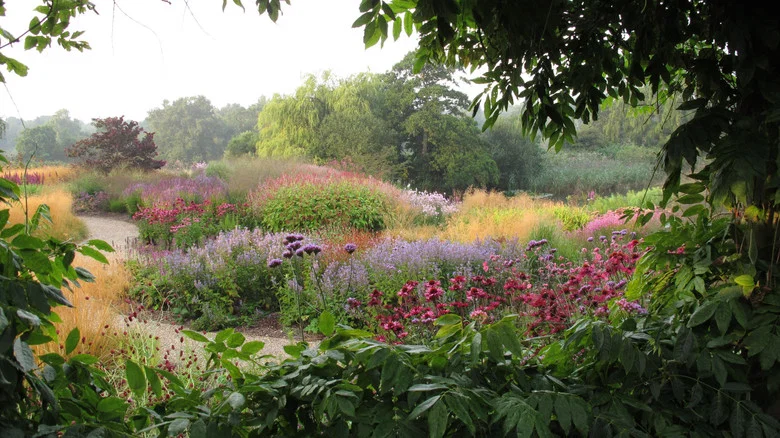 Five Seasons: The Gardens of Piet Oudolf screenshot 5