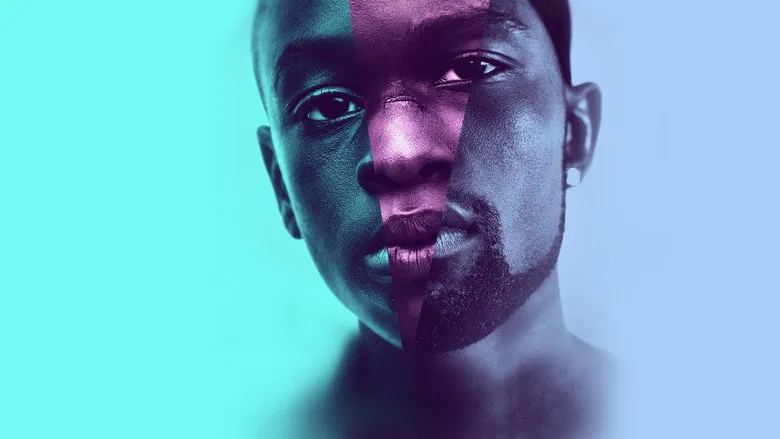 Moonlight screenshot 1