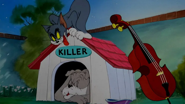 Solid Serenade screenshot 3