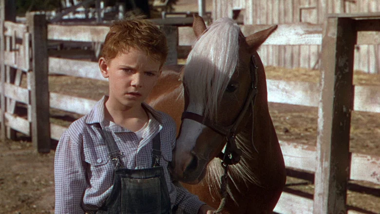 The Red Pony screenshot 8