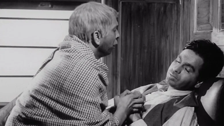 Devdas screenshot 1