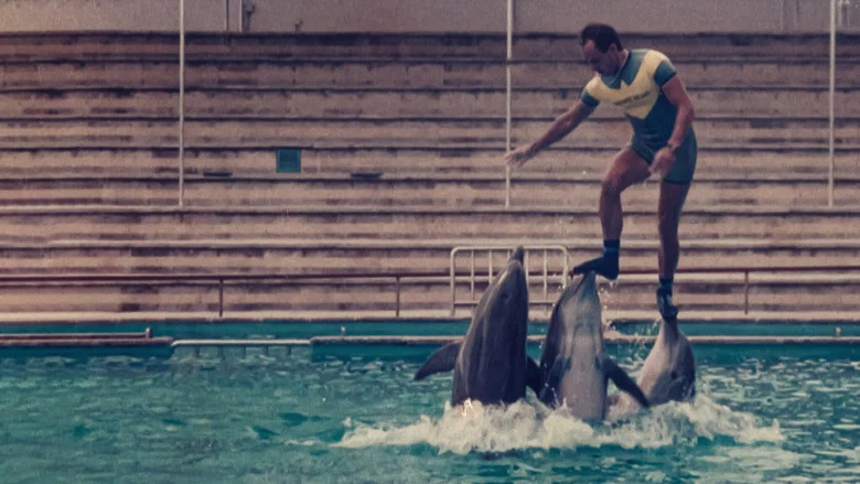 The Last Dolphin King screenshot 3