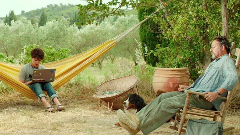 My Summer in Provence screenshot 3