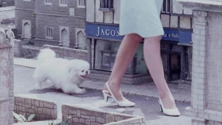 One Summer in Somerset screenshot 1