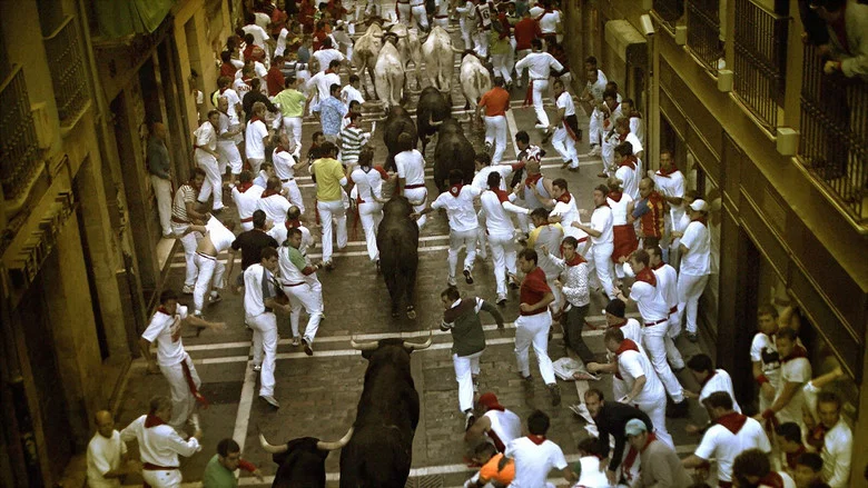 Encierro 3D: Bull Running in Pamplona screenshot 1