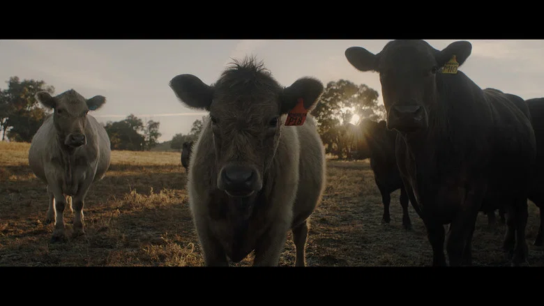 With the Cattle screenshot 1