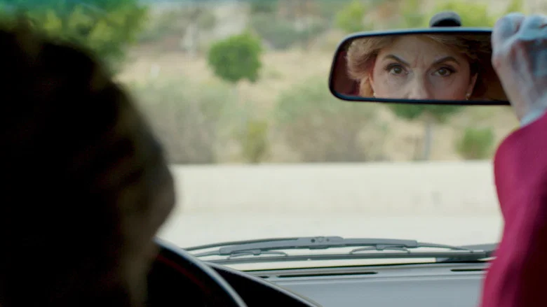 Seeing Allred screenshot 2