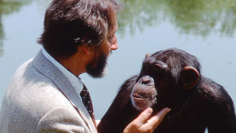 Lucy the Human Chimp screenshot 8