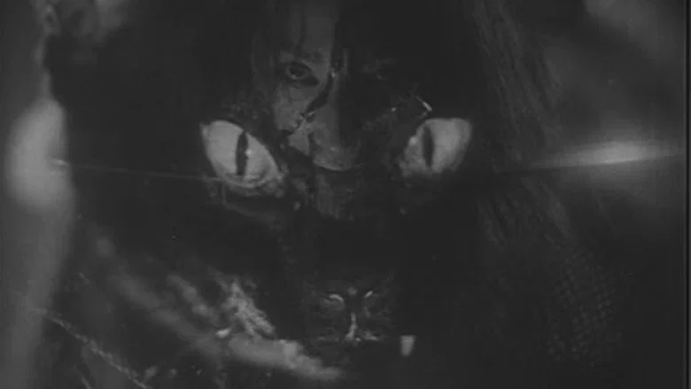 Ghost Cat of Nabeshima screenshot 1