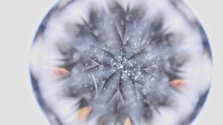 Nothing Lasts Forever screenshot 7