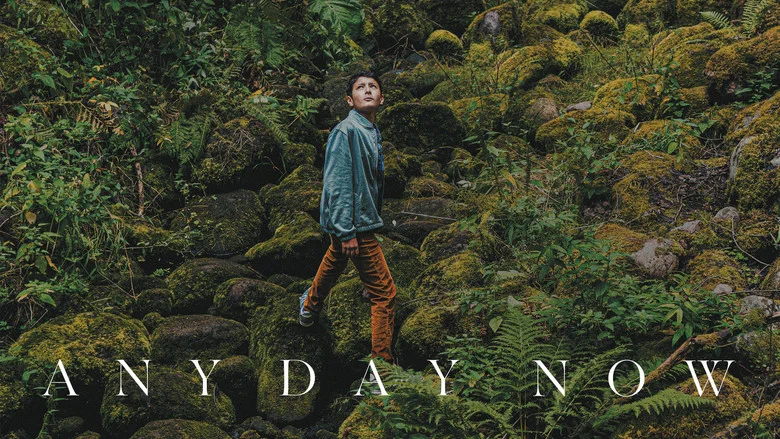 Any Day Now screenshot 5