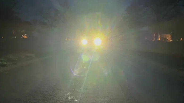 Call of the Vulture screenshot 2