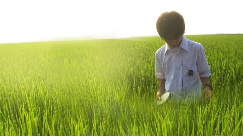 All About Lily Chou-Chou screenshot 2