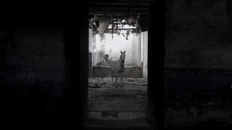 Historia antigua del cine España screenshot 3