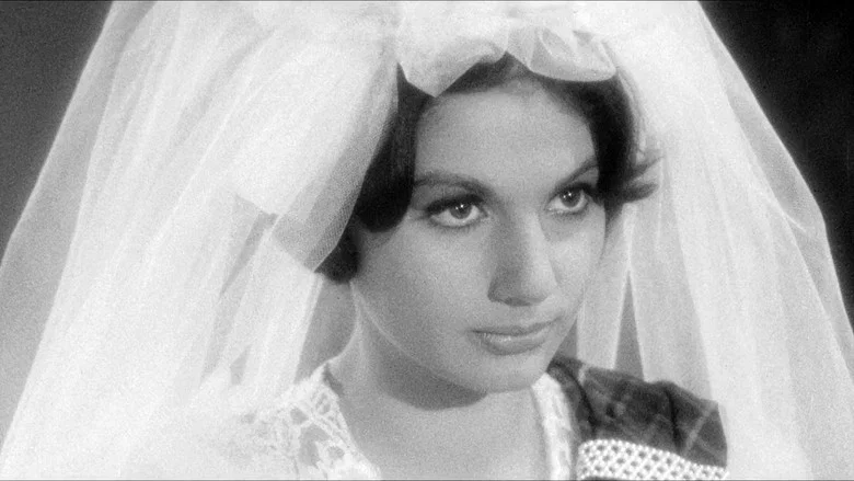 Lady Morgan's Vengeance screenshot 3