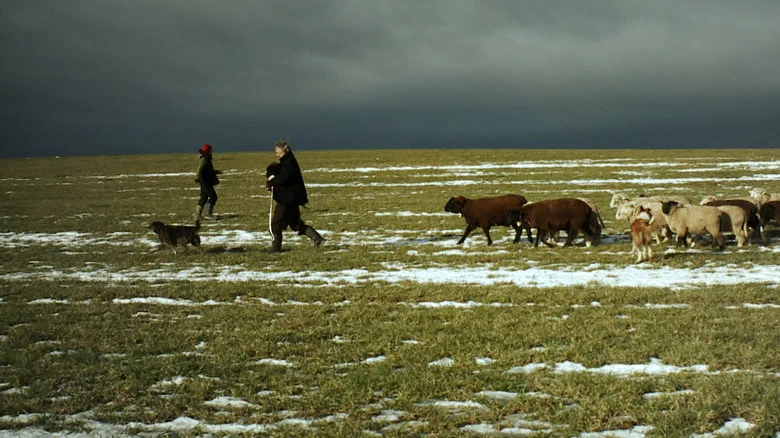 Winter Nomads screenshot 2