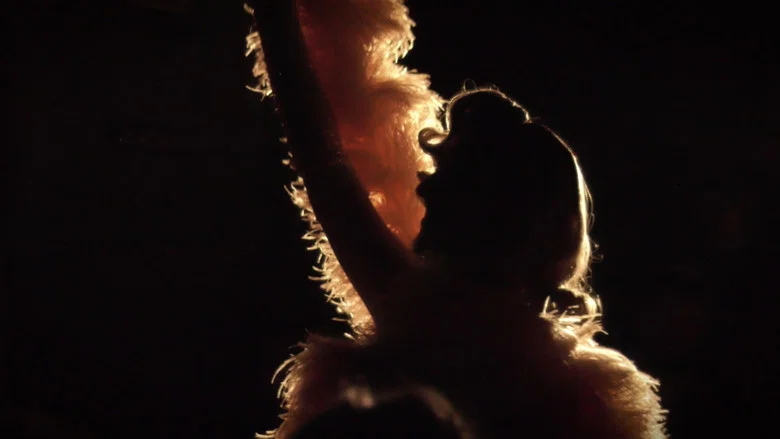 Burlesque screenshot 2