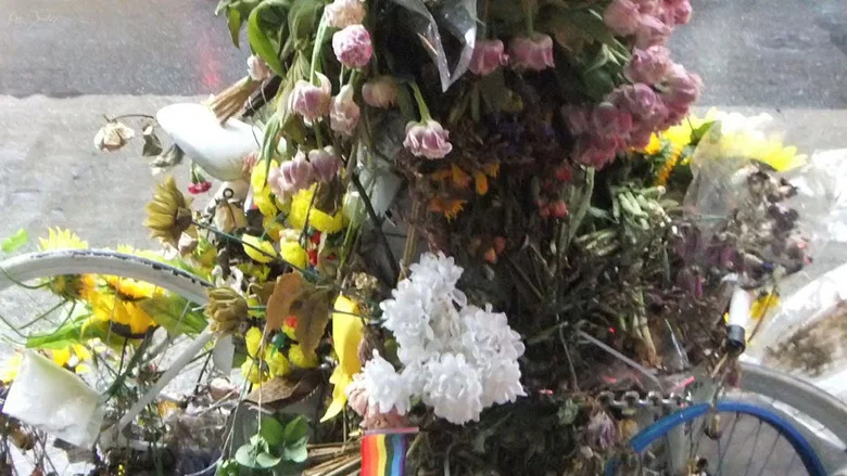 Flowers and Bike screenshot 1