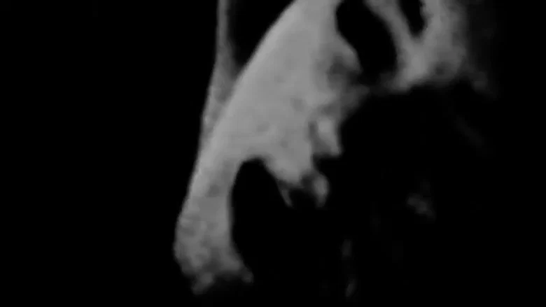 The Act of Seeing with One's Own Eyes screenshot 1