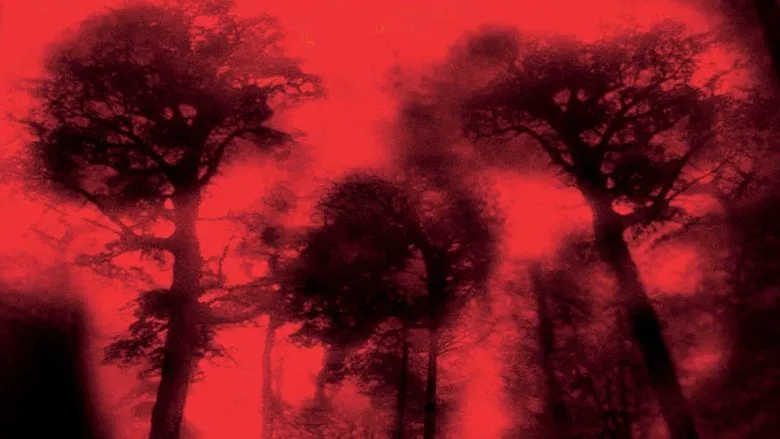Cabin Fever screenshot 2