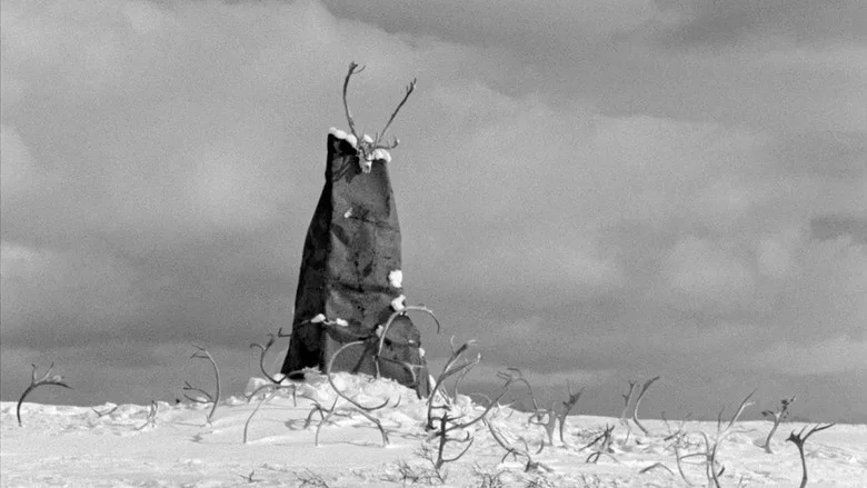 The White Reindeer screenshot 8