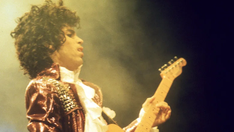Prince: 1999 Live In Houston 12-29-82 screenshot 1