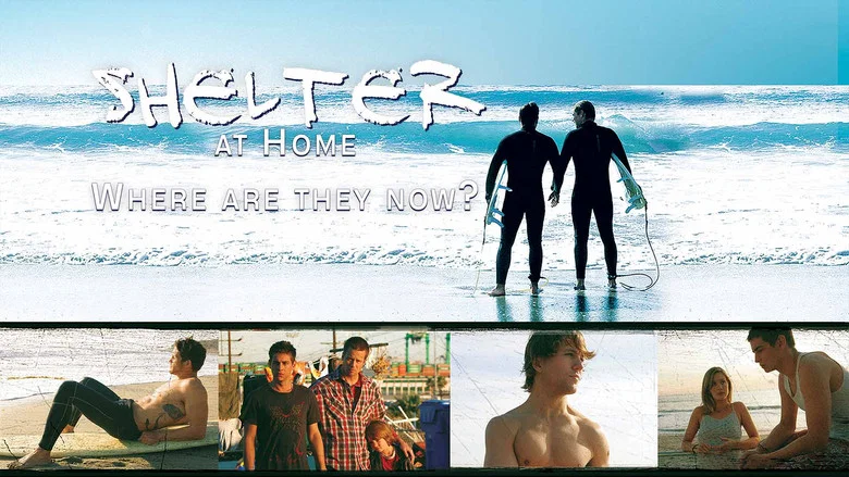 Shelter at Home: Where Are They Now? screenshot 1