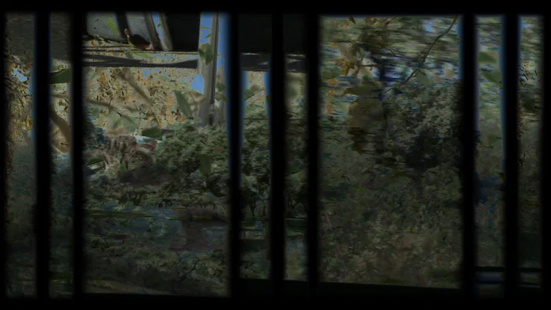 A Jupatarama screenshot 3