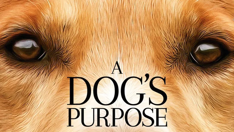A Dog's Purpose screenshot 7