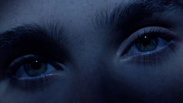 Phenomena screenshot 3