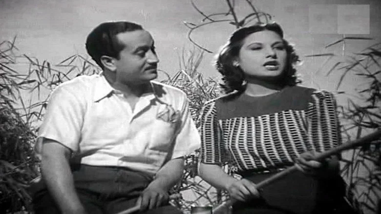 Bent Zawat screenshot 2