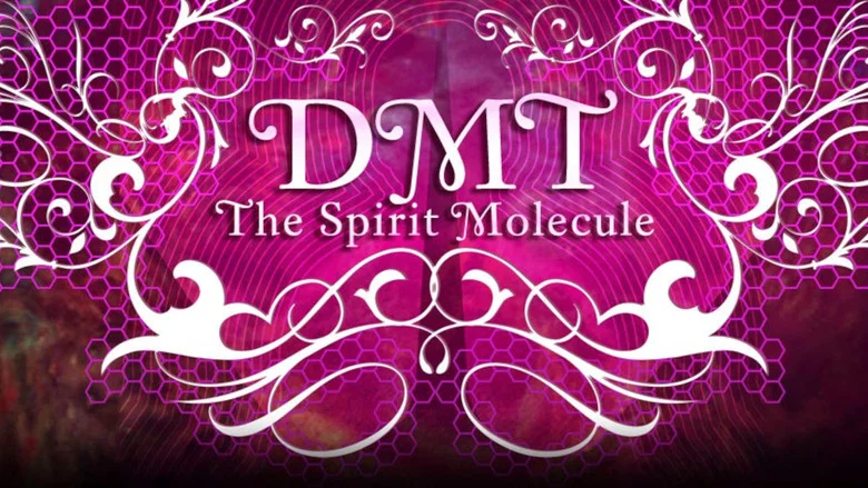 DMT: The Spirit Molecule screenshot 2