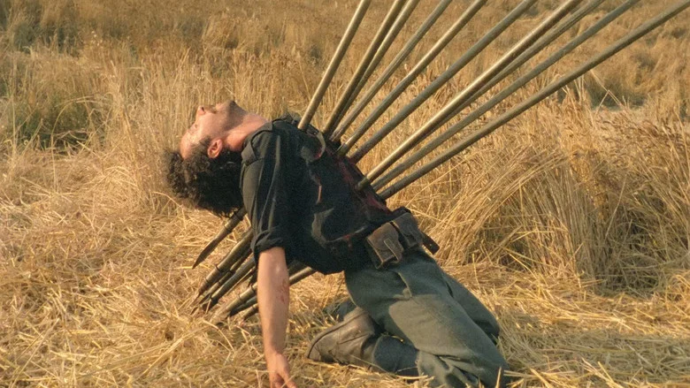 The Night of the Shooting Stars screenshot 3