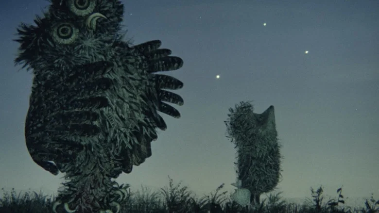 Hedgehog in the Fog screenshot 6