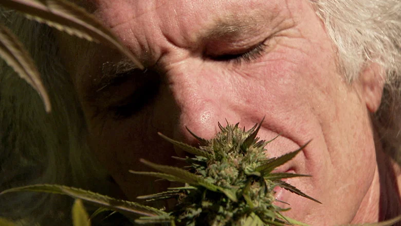 Inside: Medical Marijuana screenshot 1