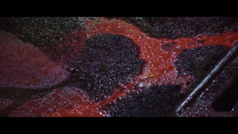 The Five Fingers of a Dog screenshot 1