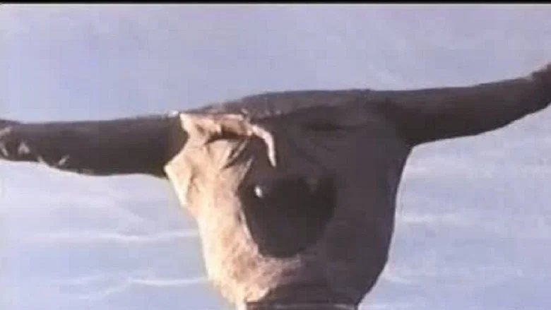 The Final Sacrifice screenshot 1