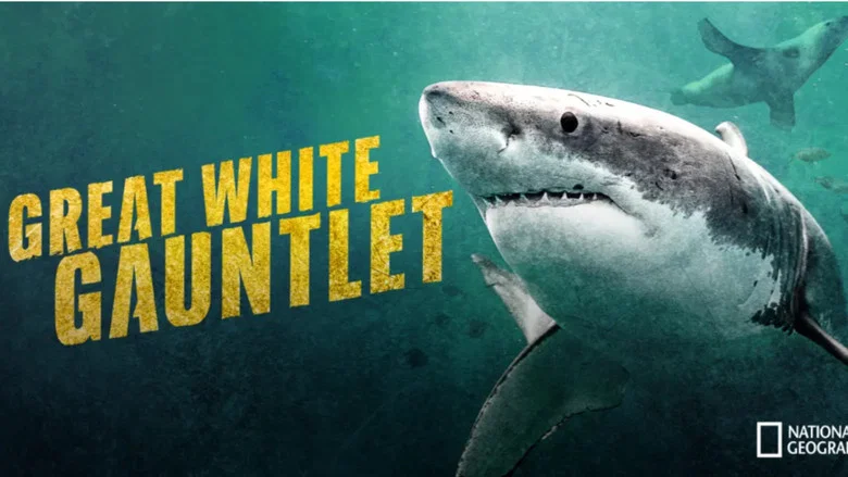 Great White Gauntlet screenshot 1