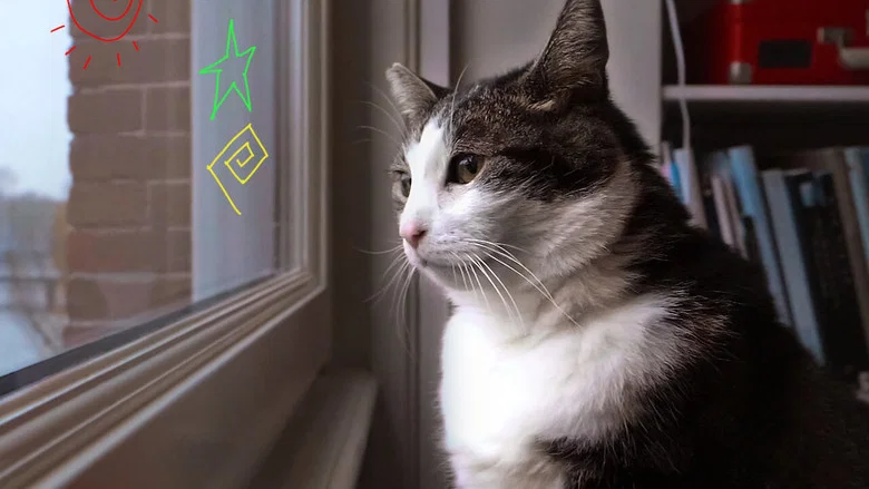 Kitty Love: An Homage to Cats screenshot 8
