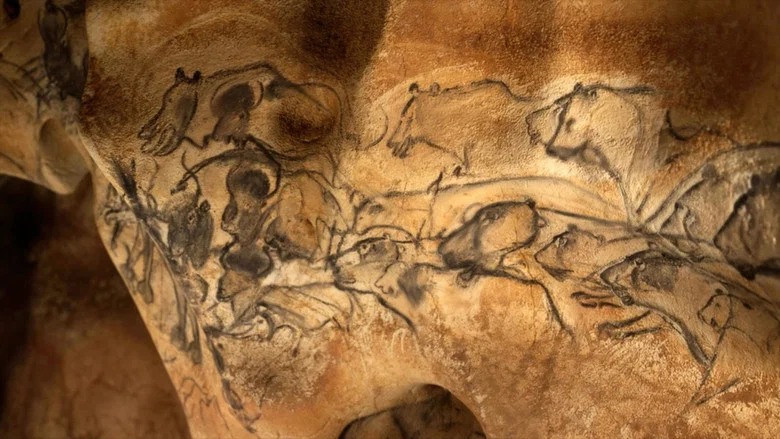 Grotte Chauvet - Dans les pas des artistes de la Préhistoire screenshot 3