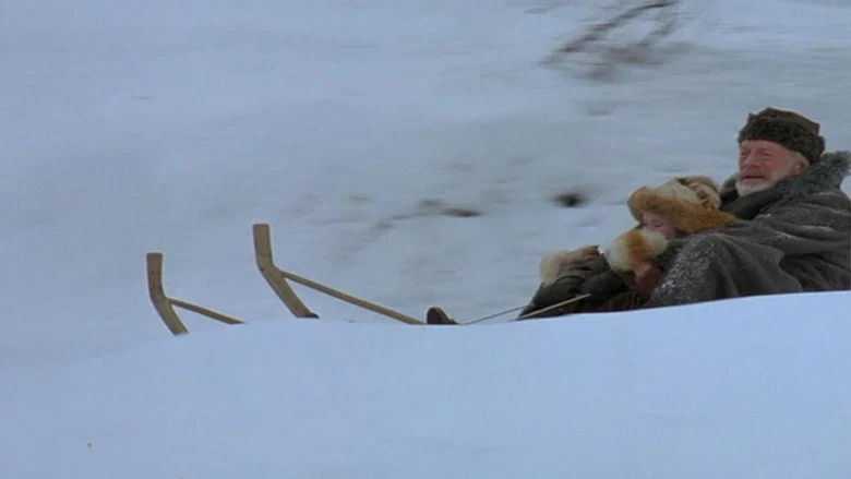 Heidi screenshot 2