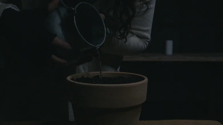 BLOOM - A Dystopian Short Film screenshot 4