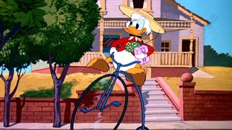 Crazy Over Daisy screenshot 1