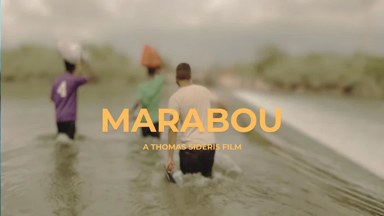 MARABOU screenshot 1