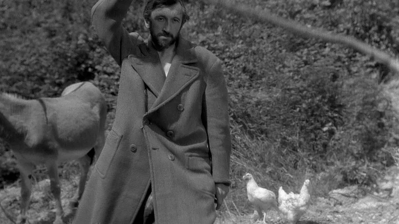 Au Hasard Balthazar screenshot 6