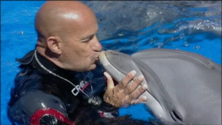 The Last Dolphin King screenshot 2