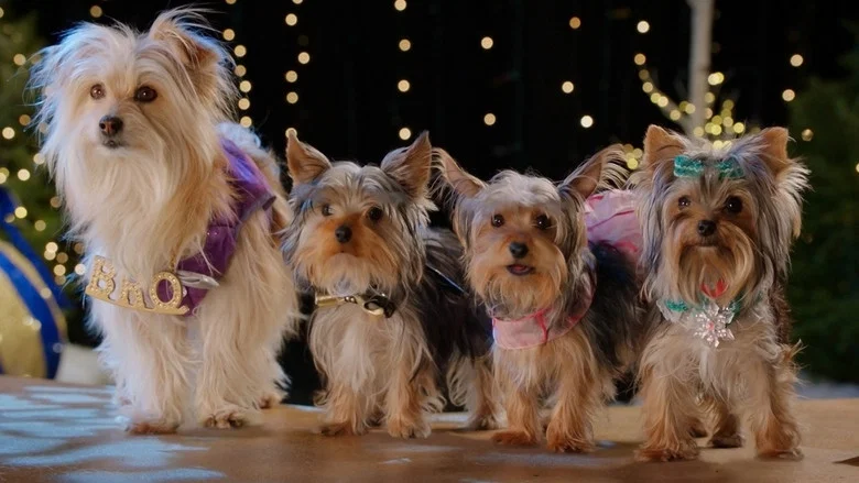Puppy Star Christmas screenshot 4