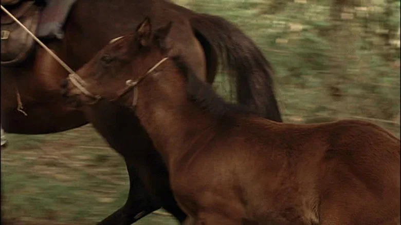 The Colt screenshot 1